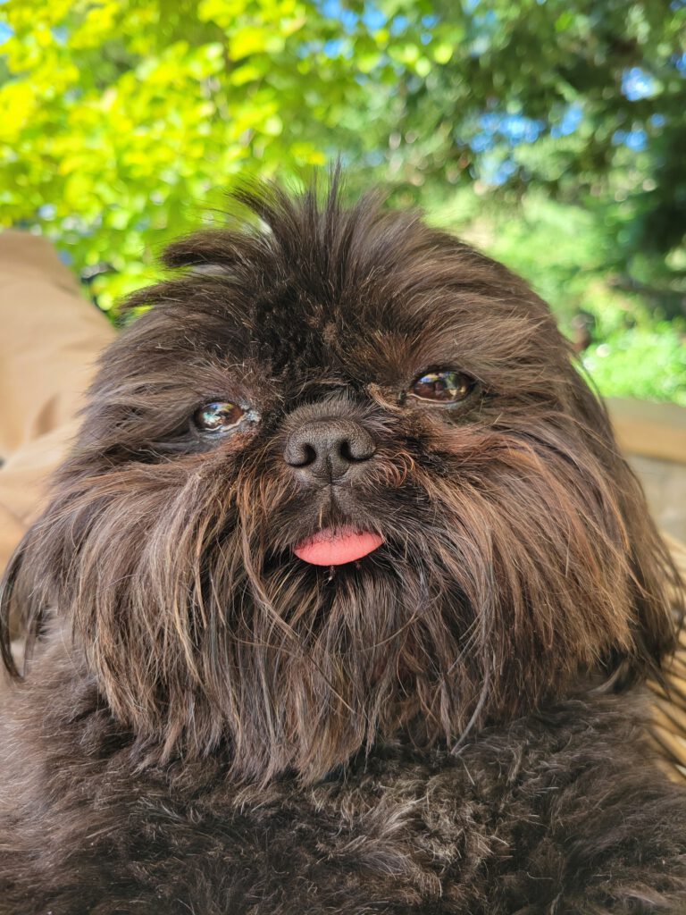 Rosco extra