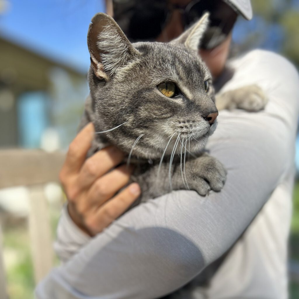 Frankie with us
