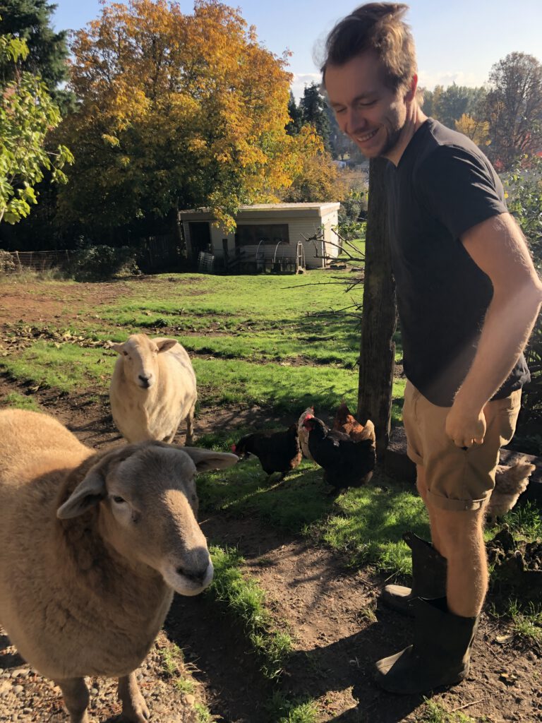 Sheep with us