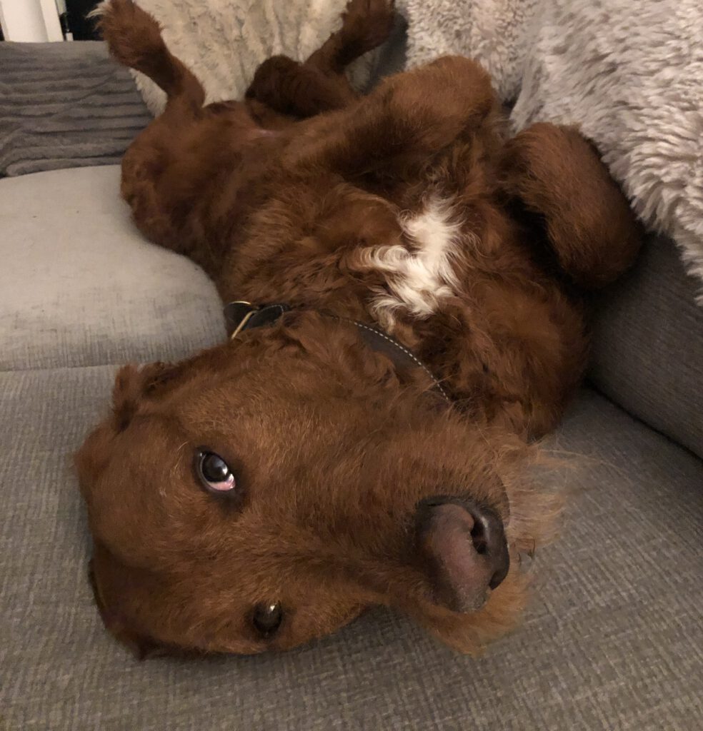 Samson