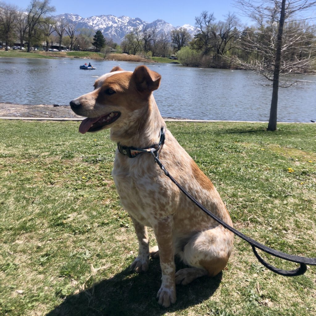 Charlie