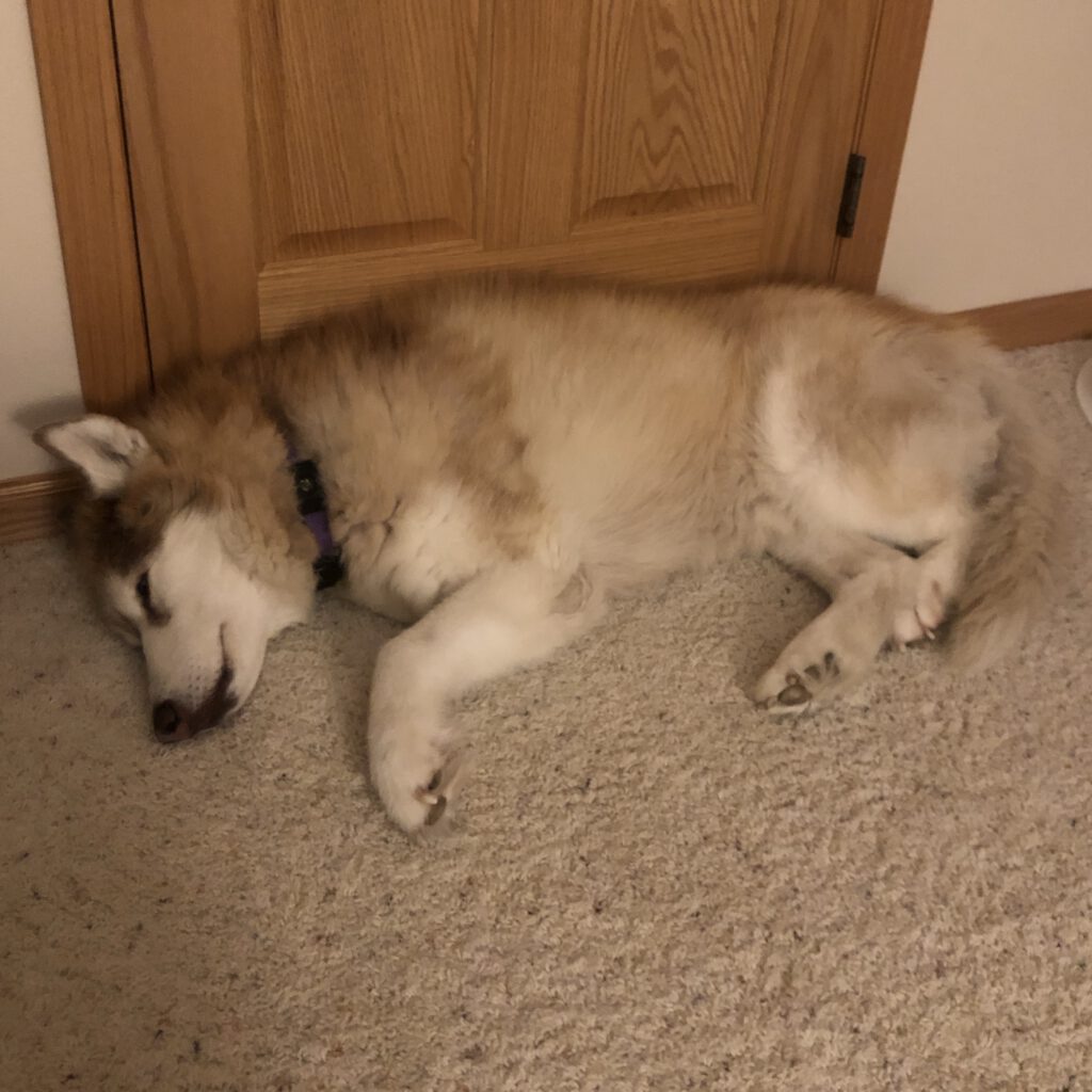 Kaiya