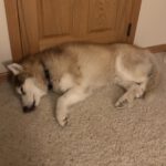 Kaiya