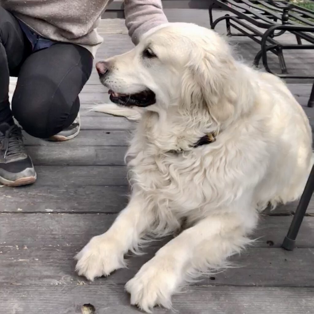 Winston