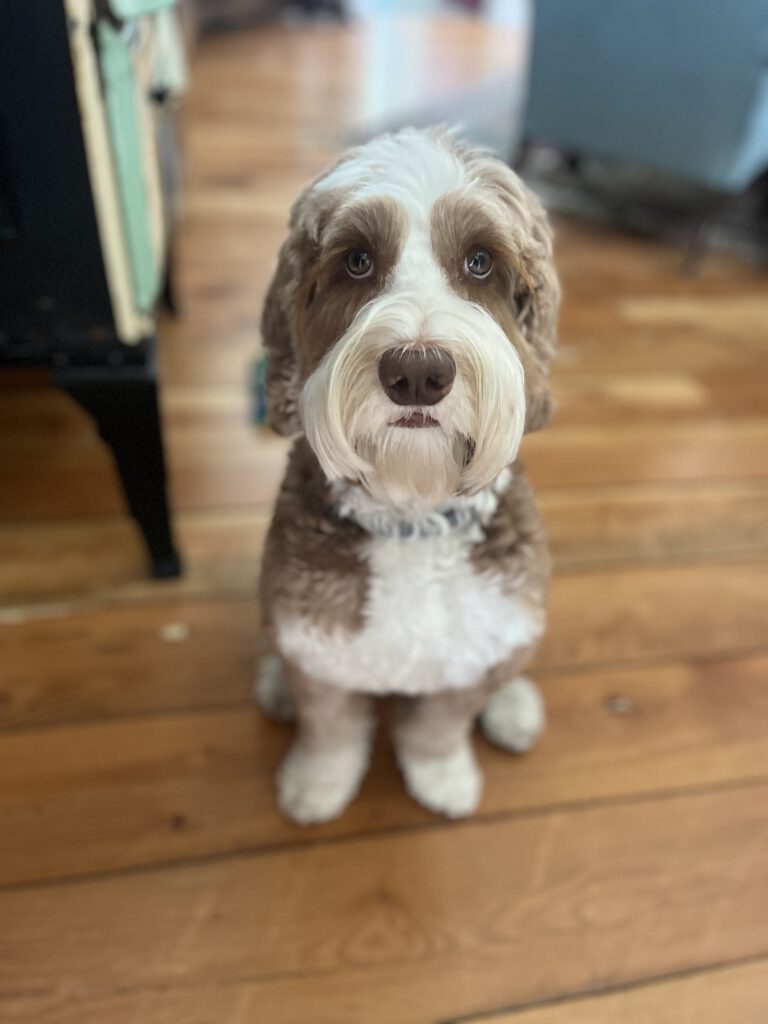 Jack