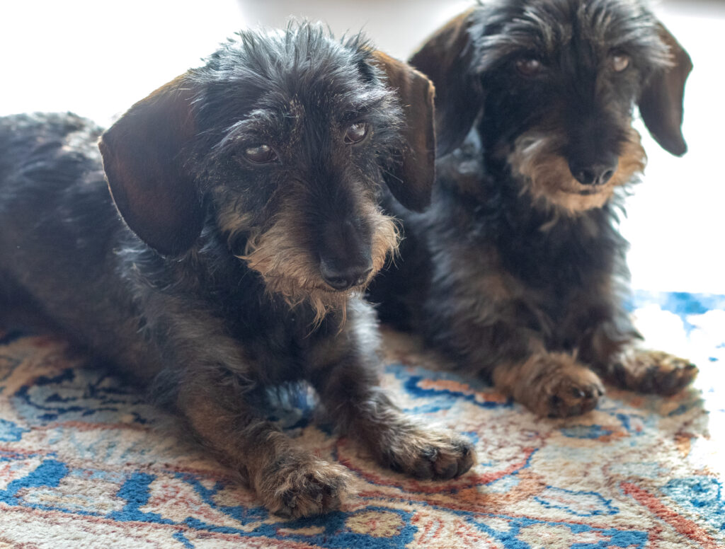 Käthe & Luise