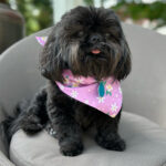 Rosco