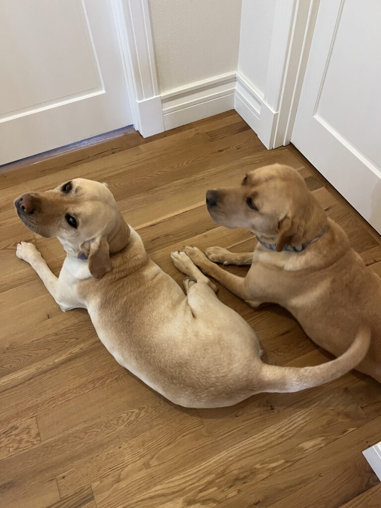 Charlie & Oakley