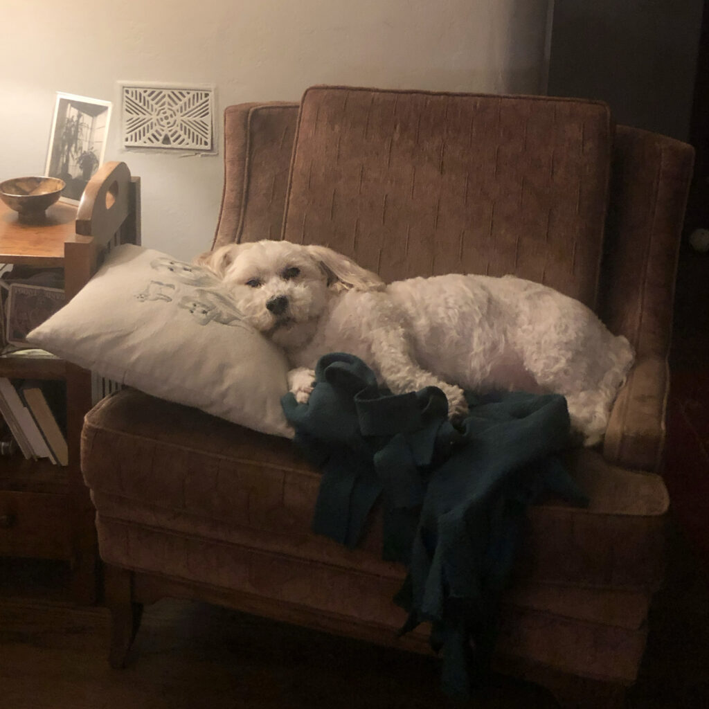 Toby