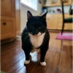 Sammy