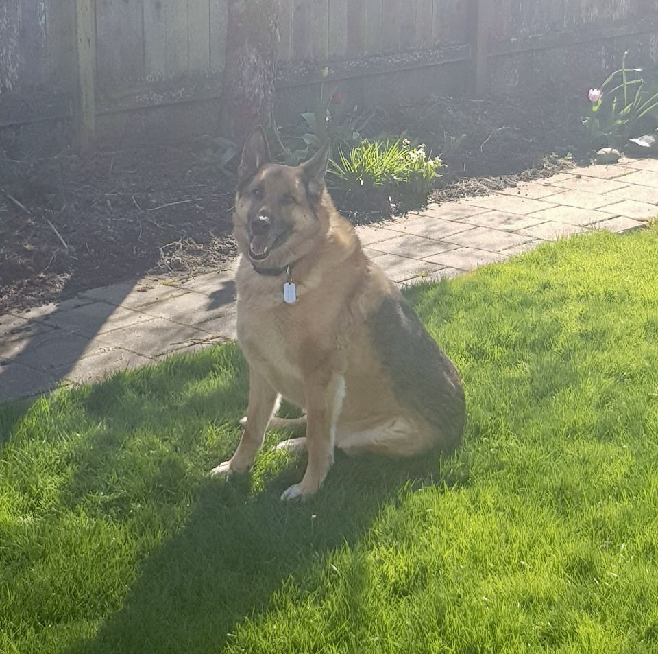 Oakley