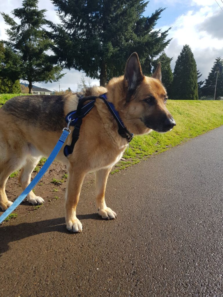 Oakley with us